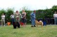 /album/bildgalleri-judging-dogs/chowbisdkspc06-jpg1/