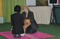 /album/bildgalleri-judging-dogs/kalixfinskspets-jpg1/