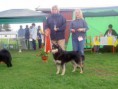 /album/bildgalleri-judging-dogs/pict0463-jpg1/